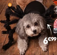 Costume pour chien araignée 3D