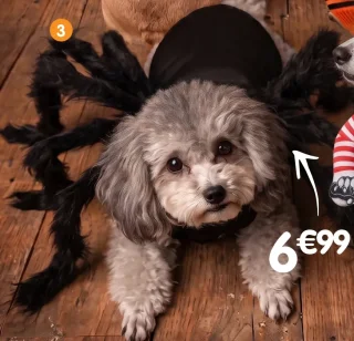 Costume pour chien araignée 3D
