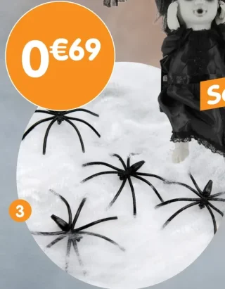 Toile d'araignée + 5 mini araignée