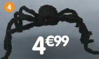 Araignée géante