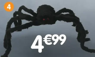 Araignée géante