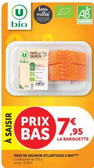 Pavé de Saumon Atlantique U Bio