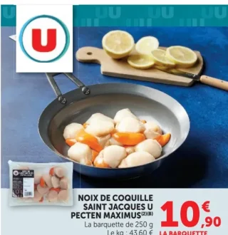 Noix de coquille Saint Jacques U Pecten Maximus