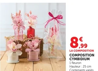 COMPOSITION CYMBIDIUM