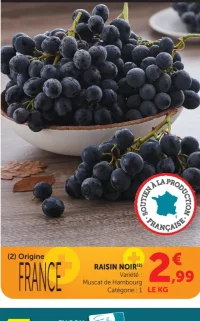 Raisin Noir Muscat de Hambourg