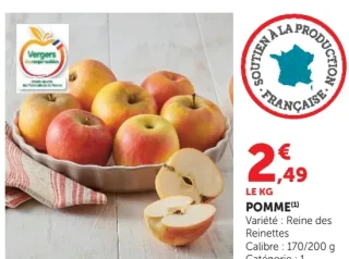 Pomme Reine des Reinettes Vergers Écoresponsables