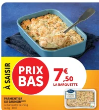Briau Parmentier au saumon