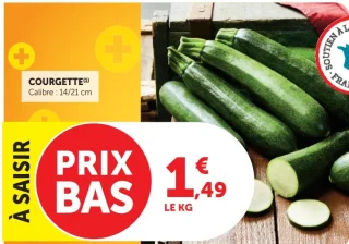 Courgette