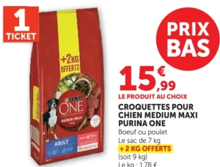CROQUETTES POUR CHIEN MEDIUM MAXI PURINA ONE
