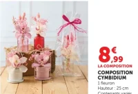 COMPOSITION CYMBIDIUM
