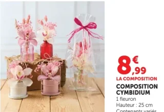 COMPOSITION CYMBIDIUM