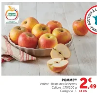 Pomme Reine des Reinettes