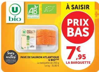 Pave de Saumon Atlantique U Bio