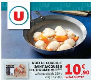 Noix de Coquille Saint Jacques U Pecten Maximus