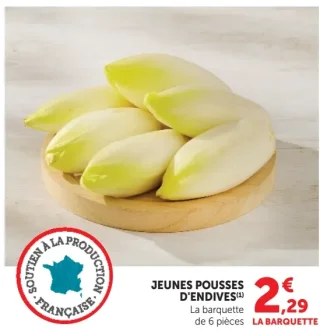 JEUNES POUSSES D'ENDIVES