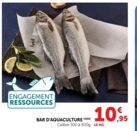 BAR D'AQUACULTURE