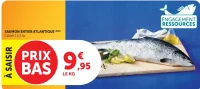 SAUMON ENTIER ATLANTIQUE