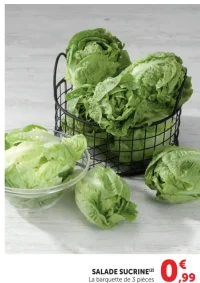 Salade Sucrine