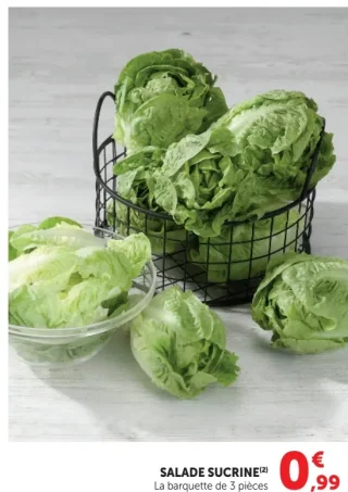 Salade Sucrine