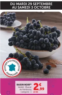 Raisin Noir Muscat de Hambourg