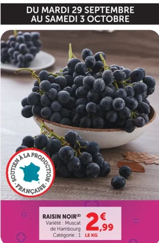 Raisin Noir Muscat de Hambourg