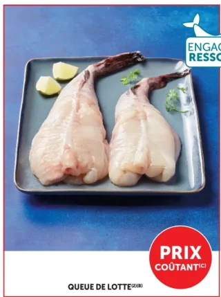 QUEUE DE LOTTE
