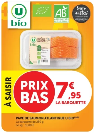 PAVE DE SAUMON ATLANTIQUE U BIO