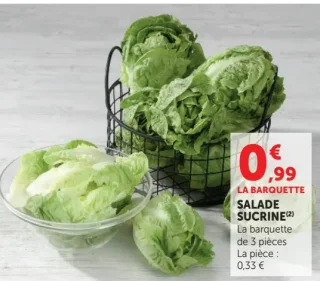 Salade Sucrine