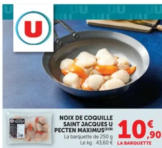 NOIX DE COQUILLE SAINT JACQUES U PECTEN MAXIMUS
