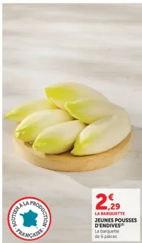 Jeunes pousses d'endives