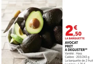 Avocat prêt à déguster