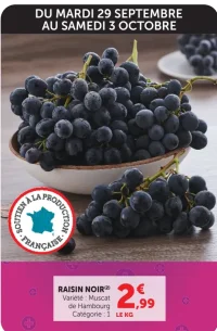 Raisin noir Muscat de Hamburg