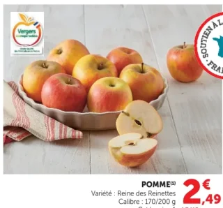 POMME Variété : Reine des Reinettes