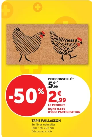Tapis paillasson