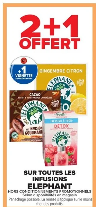 Infusions Elephant