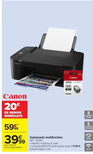 Imprimante multifonction Canon TS3355