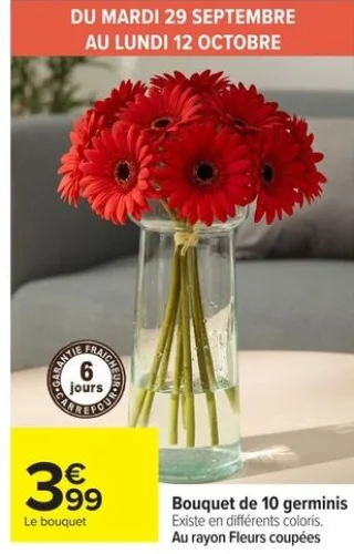 Bouquet de 10 germinis