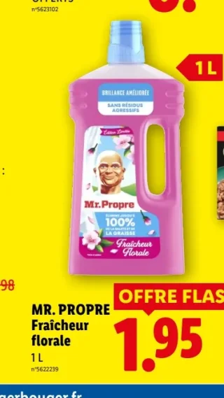 MR. PROPRE Fraîcheur florale
