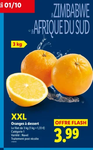 XXL Oranges à dessert