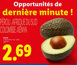 Avocat