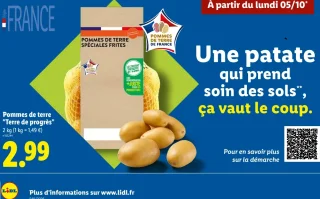 Pommes de terre "Terre de progrès" Spéciales Frites