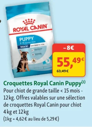 Croquettes Royal Canin Puppy