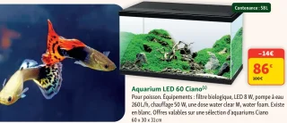 Aquarium LED 60 Ciano