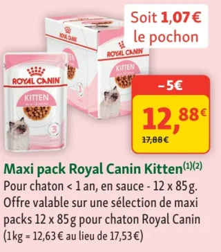Maxi pack Royal Canin Kitten