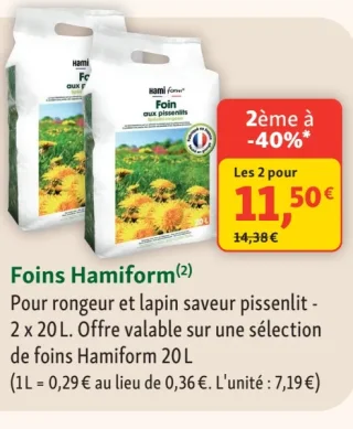 Foins Hamiform
