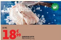 Queue de lotte