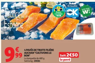 4 Pavés de Truite Filière Auchan "Cultivons le Bon"
