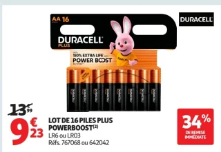 LOT DE 16 PILES PLUS POWERBOOST DURACELL LR6 ou LR03