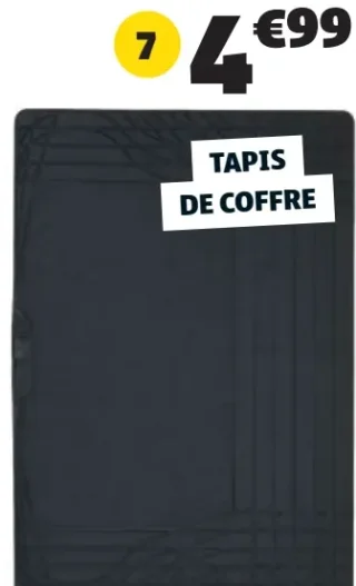 Tapis de voiture de coffre