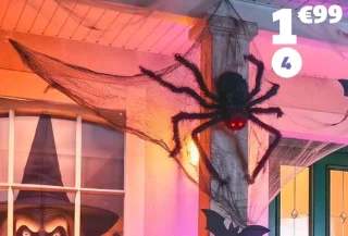 GiFi Araignée géante